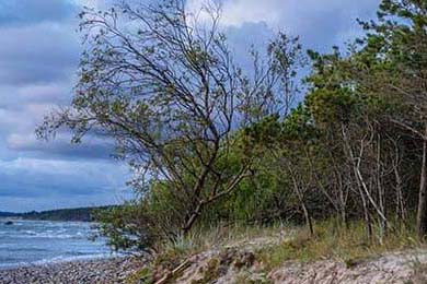 Dairy Queen Chapter 11: Who Won the Mega Millions and Powerball Jackpots