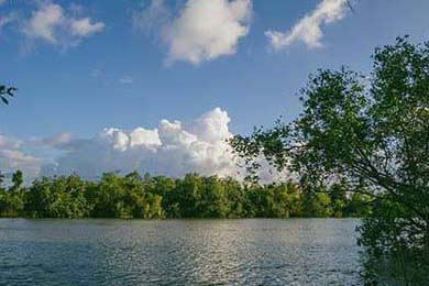 Portos: Your Guide to Locations, Menu & Ordering