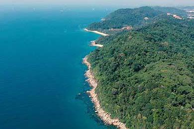 Dairy Queen Chapter 11: Who Won the Mega Millions and Powerball Jackpots