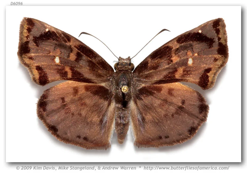 Zera Obituary: A Life Remembered